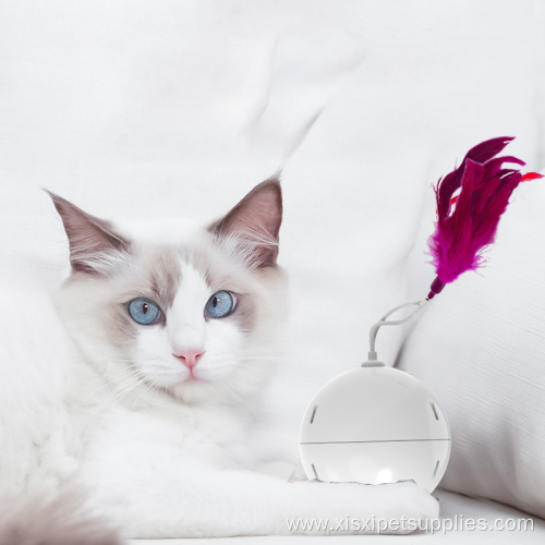 Motion Activated Cat Ball Cat Toys Interactive